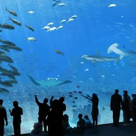 La Tanatte De Sur La Cote D Opale Wimereux